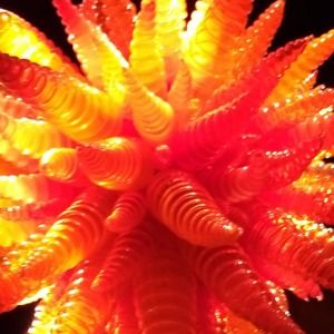 Meet your Posher, Gurgal